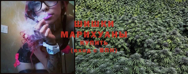 дживик Нягань