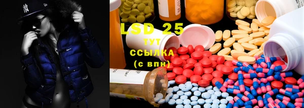 ПСИЛОЦИБИНОВЫЕ ГРИБЫ Няндома