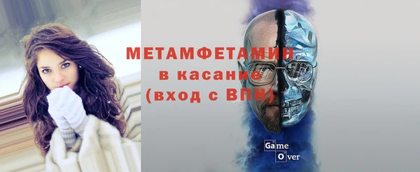 ПСИЛОЦИБИНОВЫЕ ГРИБЫ Няндома