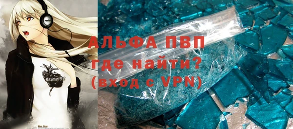 гашик Новокубанск