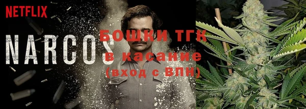 ПСИЛОЦИБИНОВЫЕ ГРИБЫ Няндома