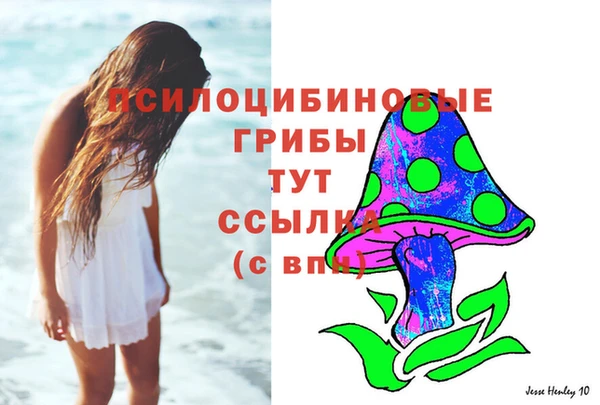 дживик Нягань