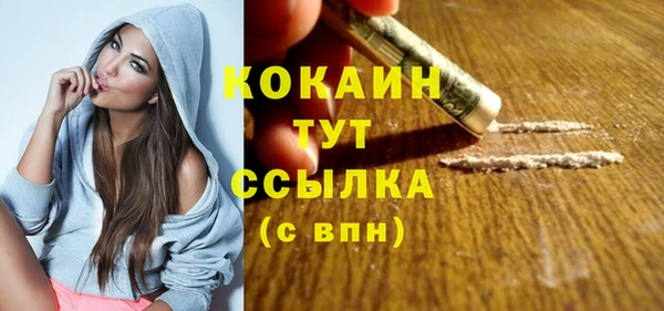 дживик Нягань